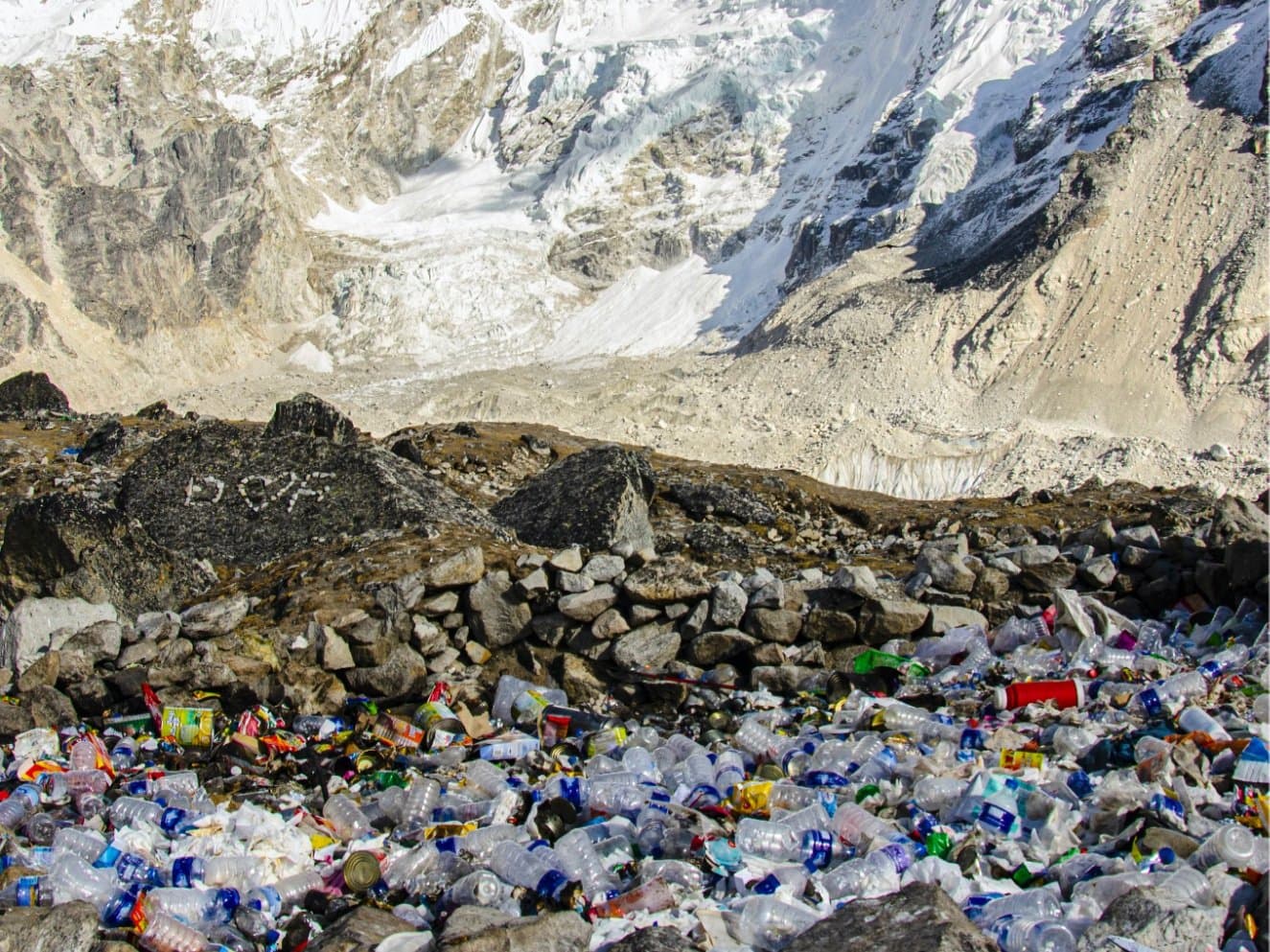 Bioplastic future: using bioplastics to transform domestic plastic production